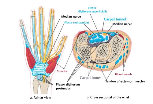 Carpal Tunnel Syndrome treatment